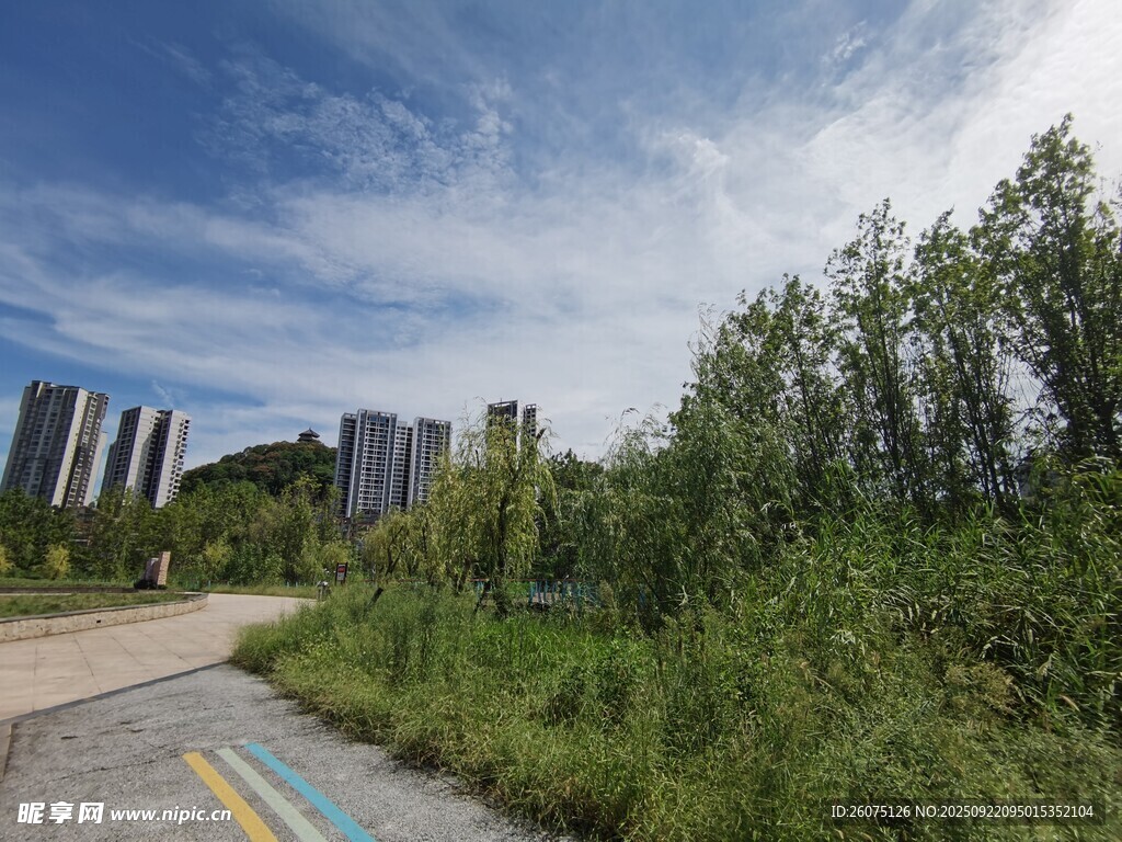 城郊道路旁的绿植与建筑