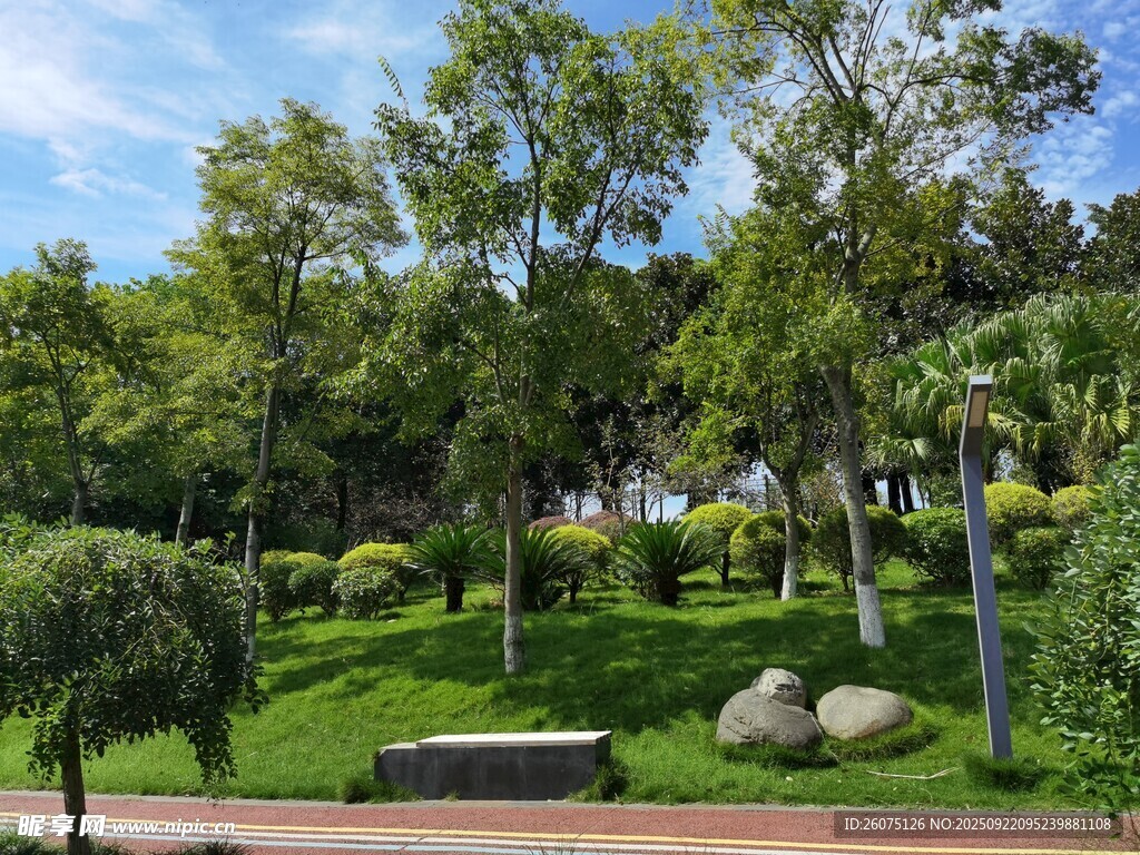 绿意盎然的公园景观