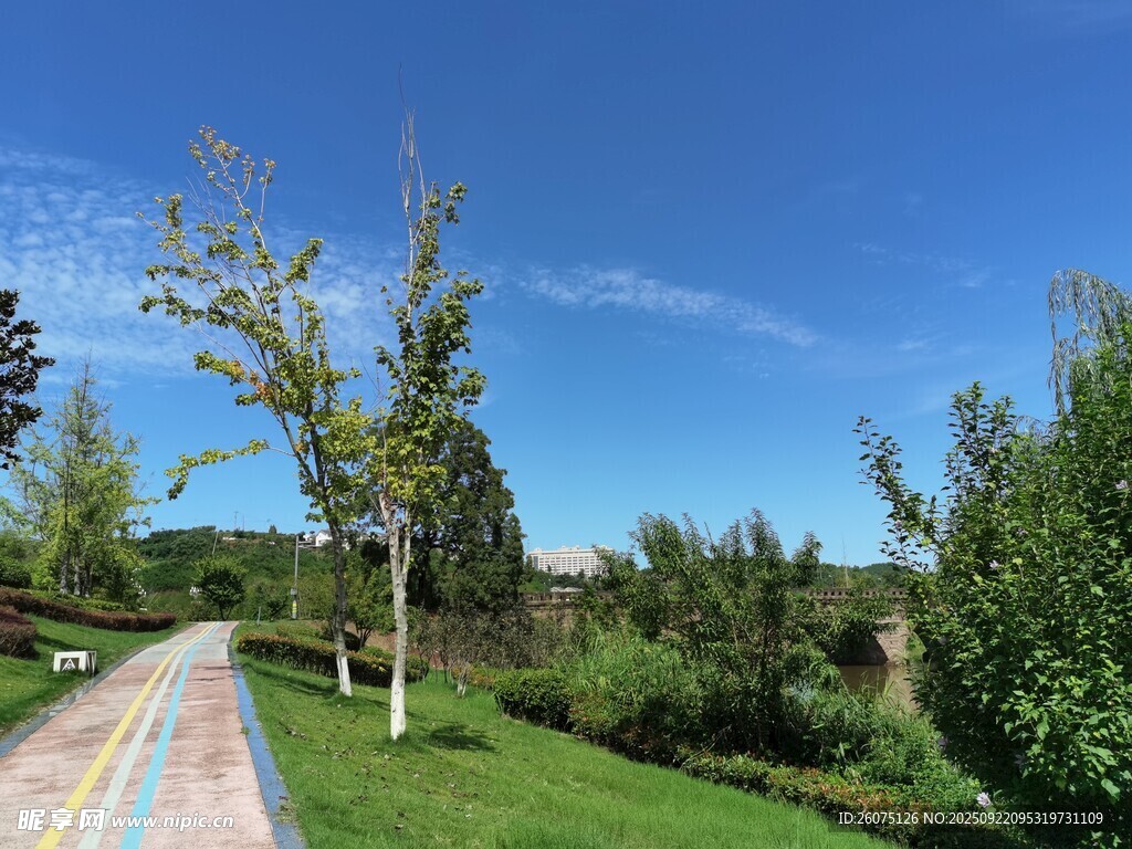 美丽户外公园景观小路
