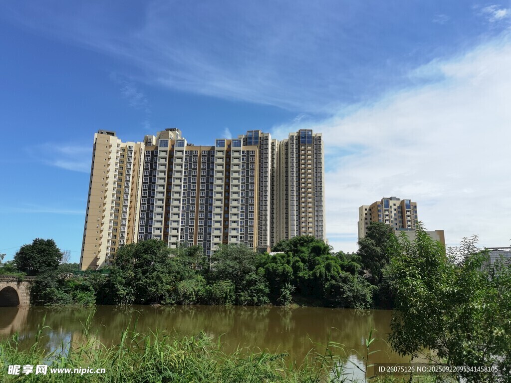 河畔高楼林立的城市风景