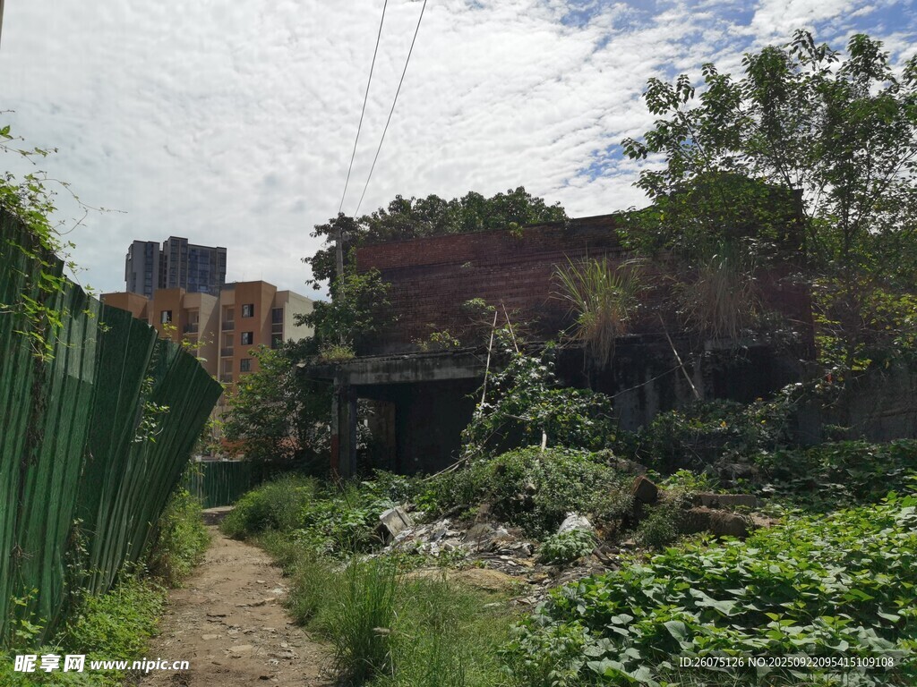 城郊荒废小径与绿植景象