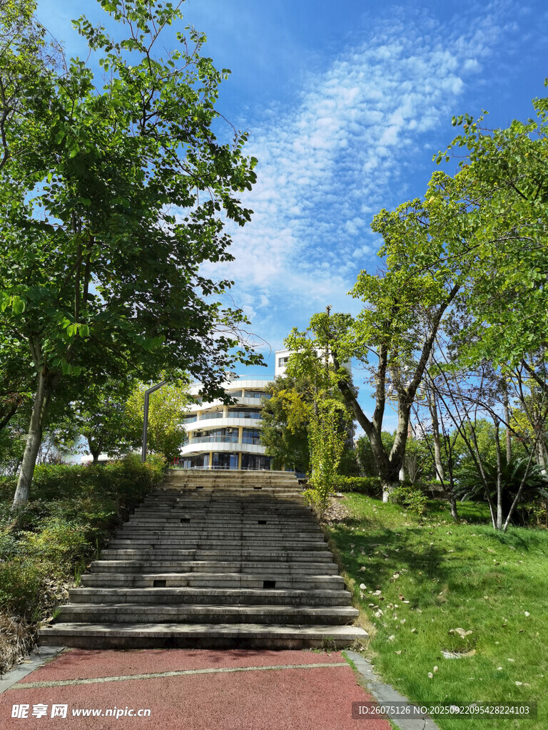 绿树环绕的石阶步道