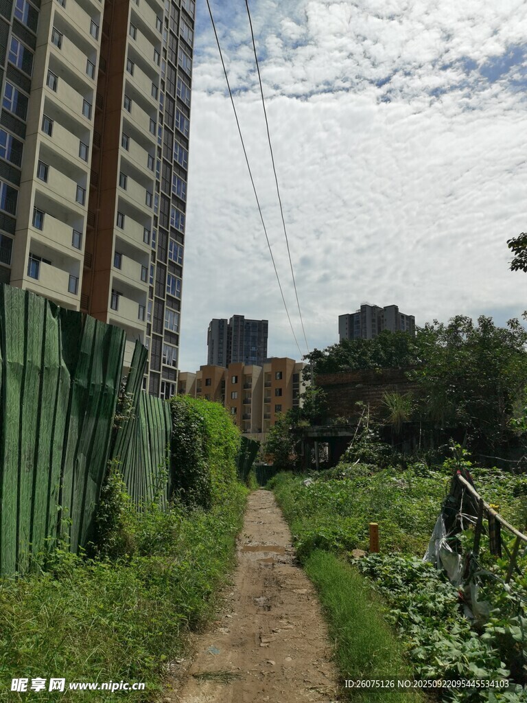 城市中幽静的小路与绿植