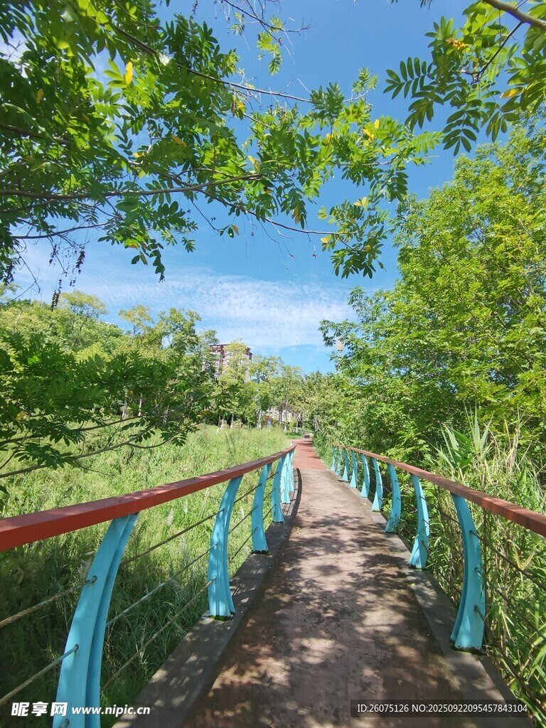 林间彩桥漫步道
