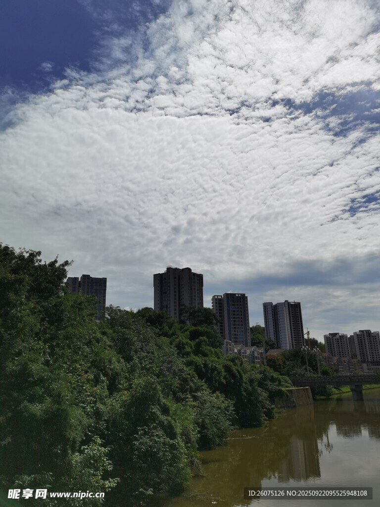 河畔城市风光