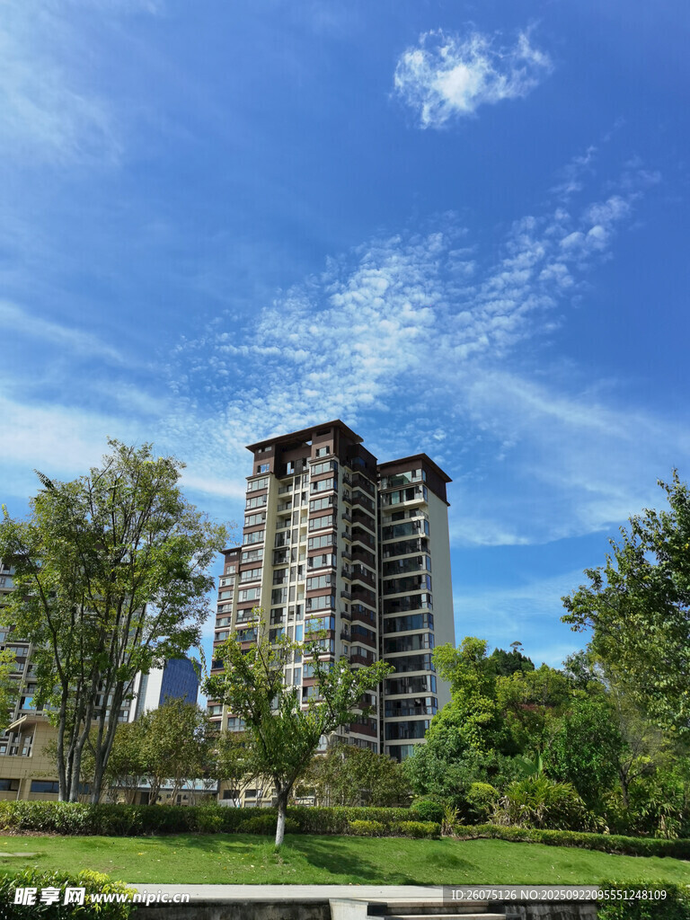 城市中的高楼与绿植景观