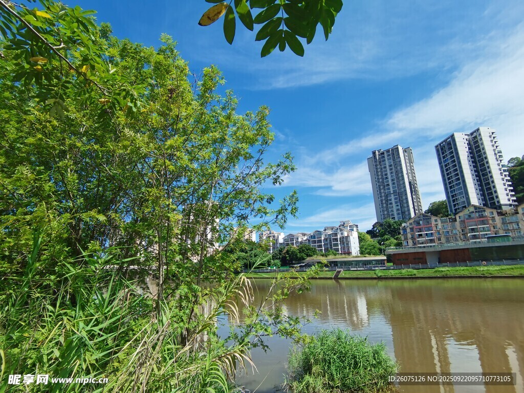 河畔绿植与城市建筑景观