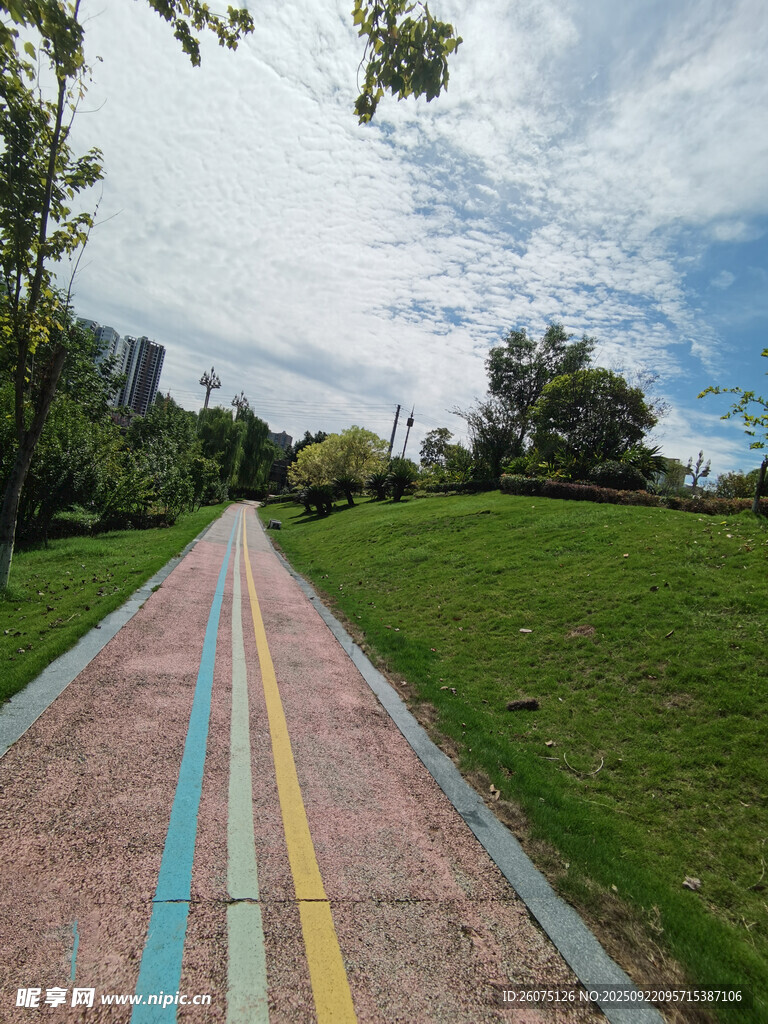 彩色步道旁的绿意风景