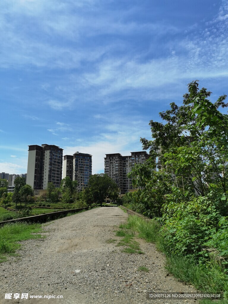 城郊小路旁的高楼与绿植