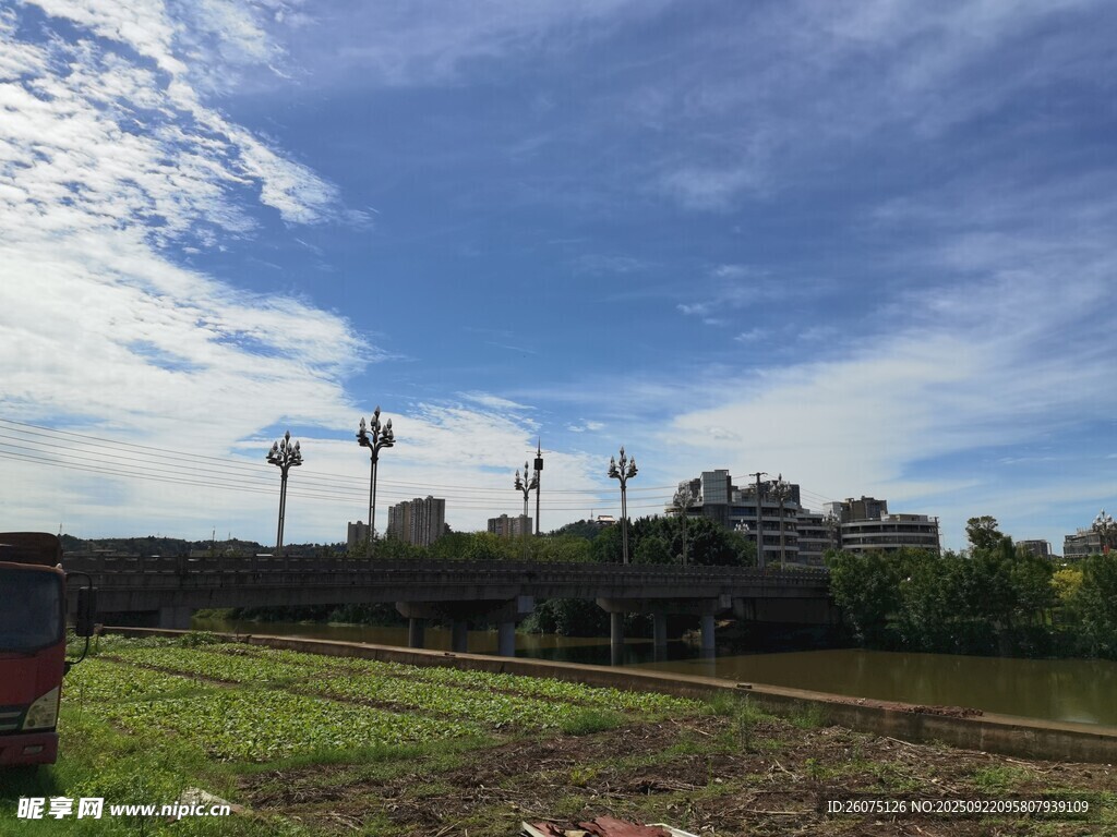 田野上的风力发电机