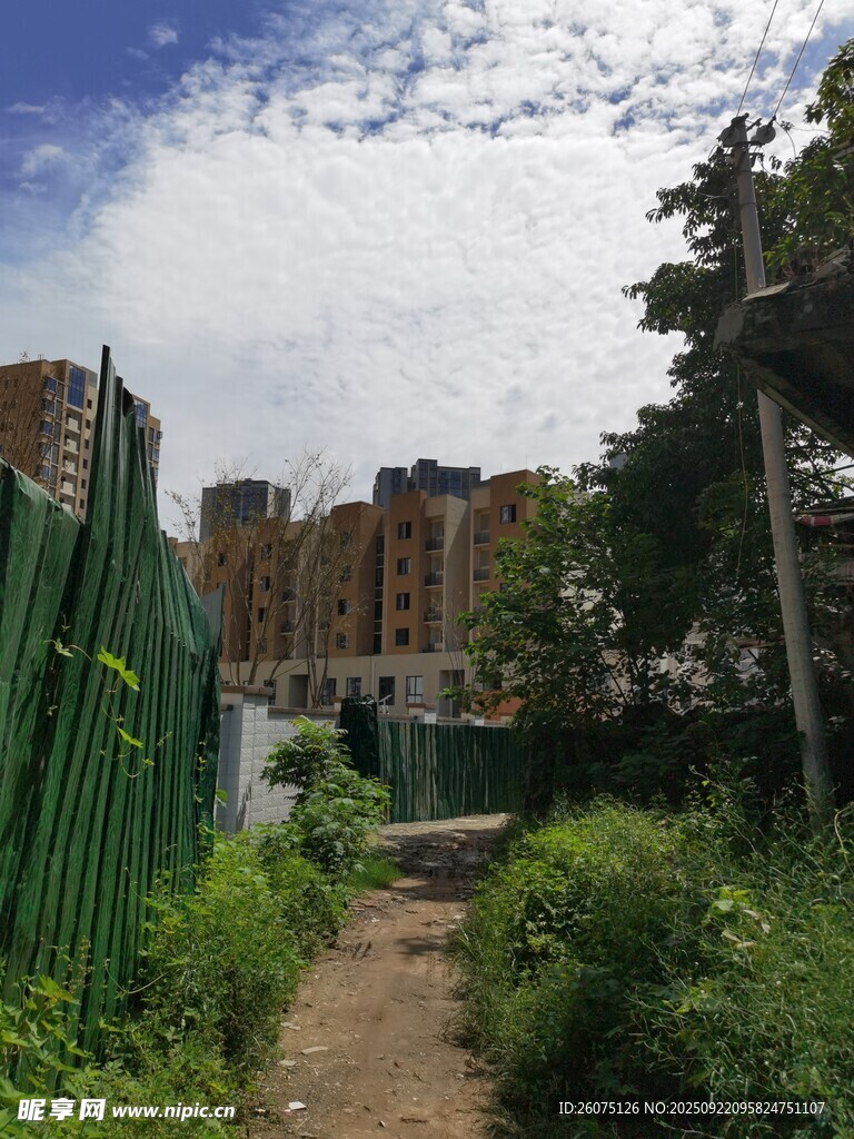 施工区域旁的绿植小道
