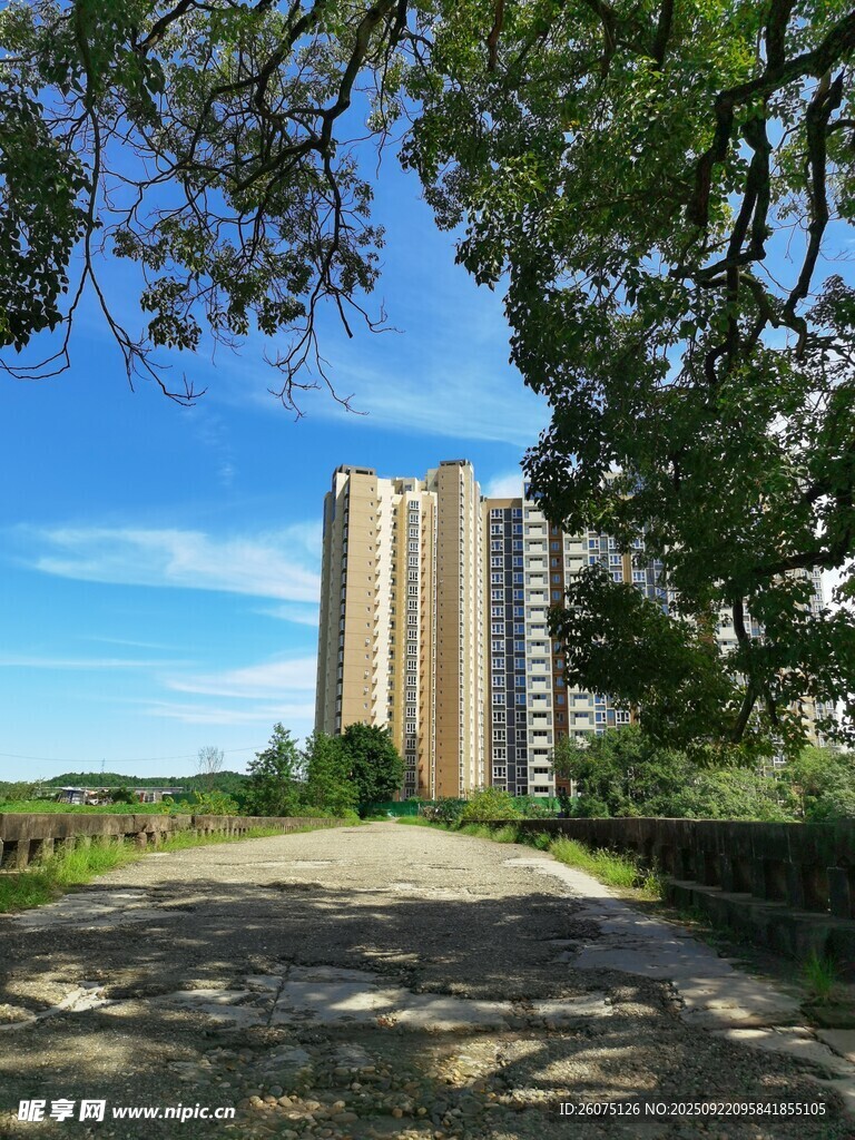 绿树掩映下的高楼建筑