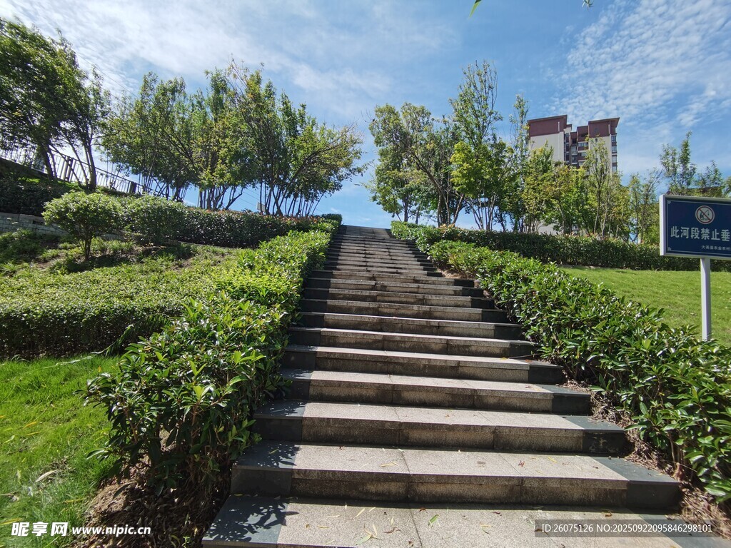 绿意环绕的户外石阶步道