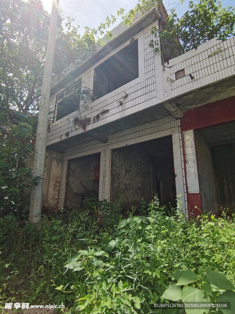 废弃房屋被绿植环绕