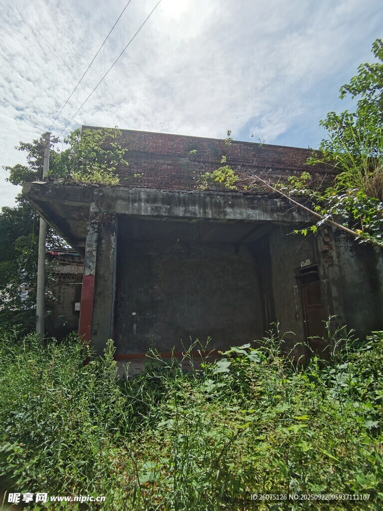 荒废小屋被绿植环绕