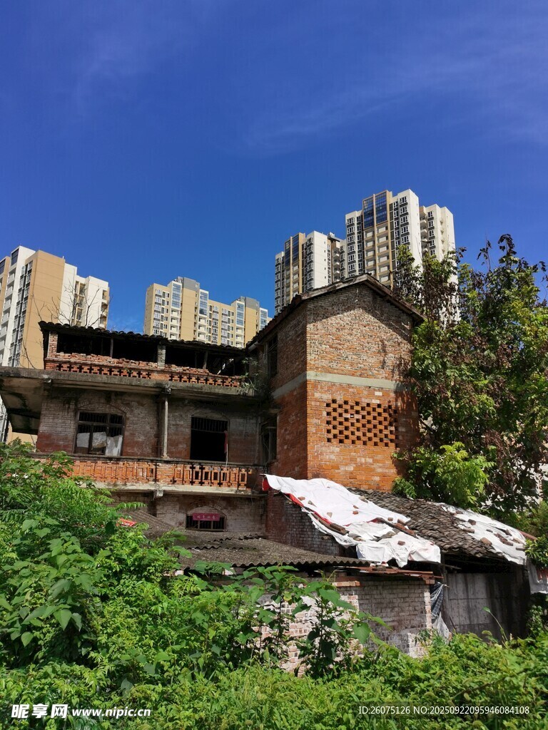 废弃房屋与周围绿植景观