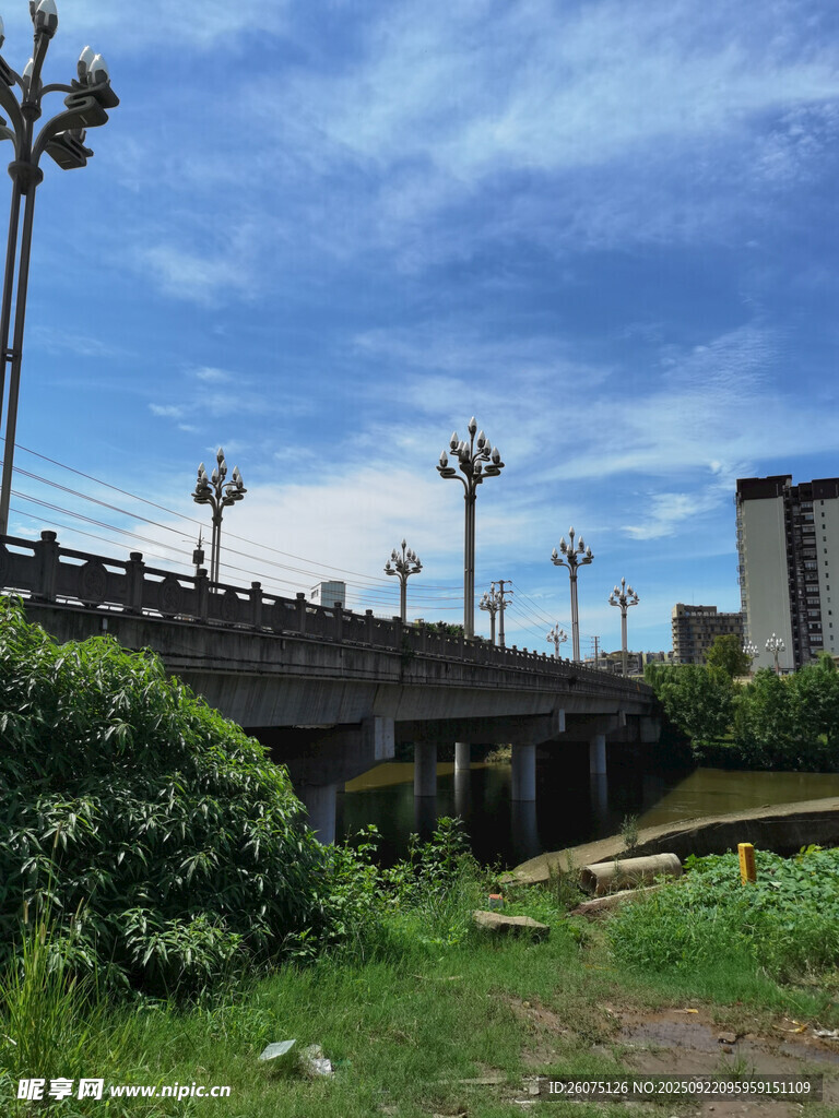 城市桥梁旁的绿植景观
