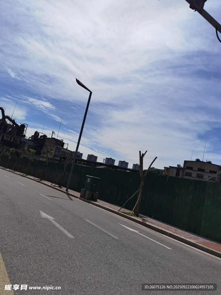 城市道路旁的路灯与蓝天