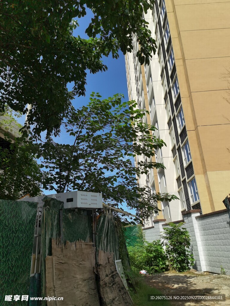 小区内的绿植与步道景观