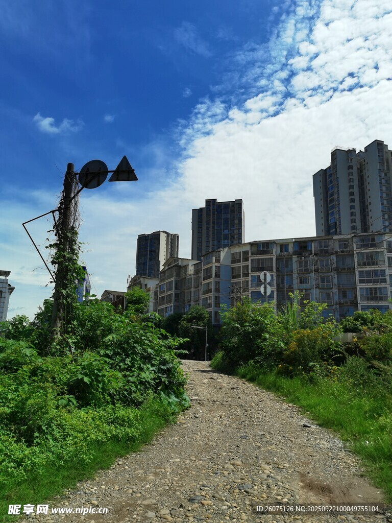 城郊小径旁的高楼与绿植