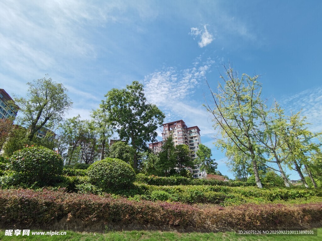 美丽园林景观绿树蓝天