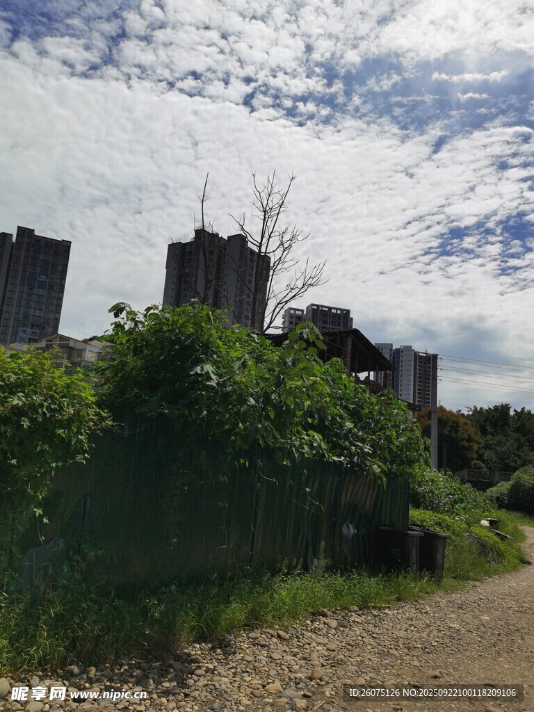 荒废城堡旁的绿植与土路