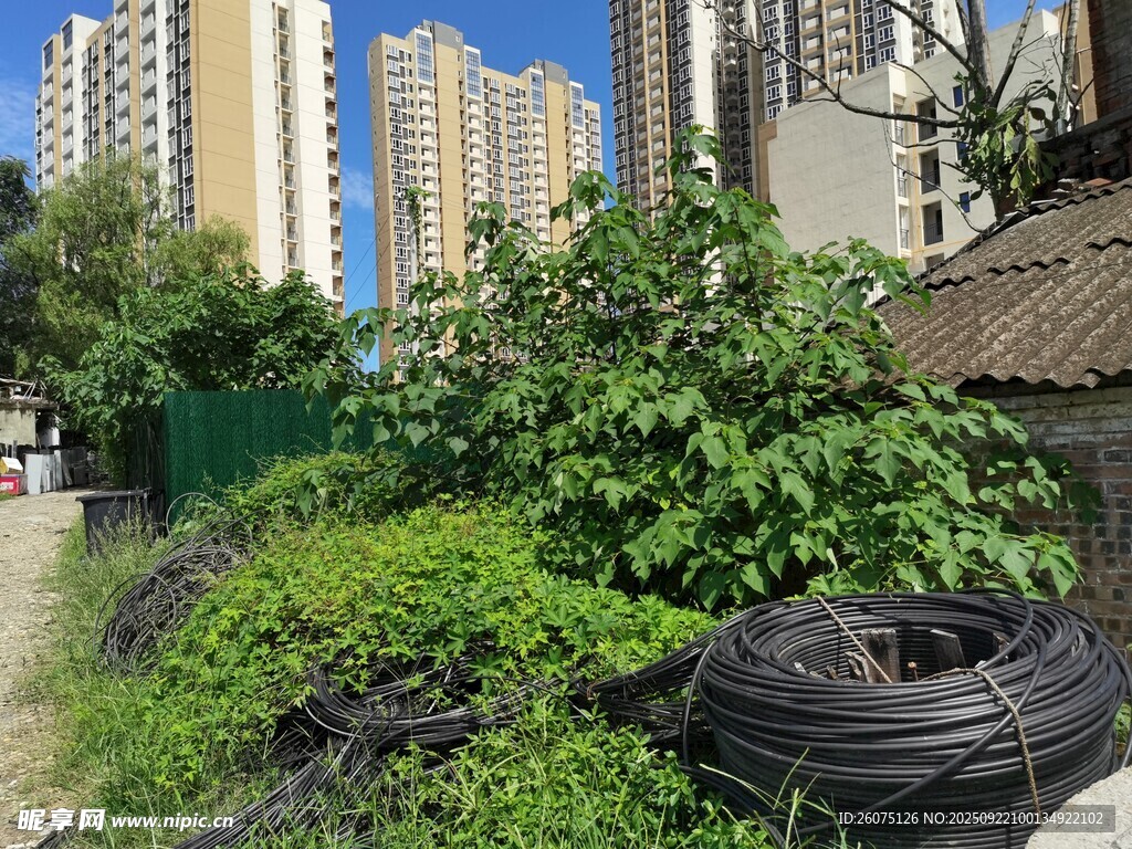 城市角落的绿植与电缆线圈