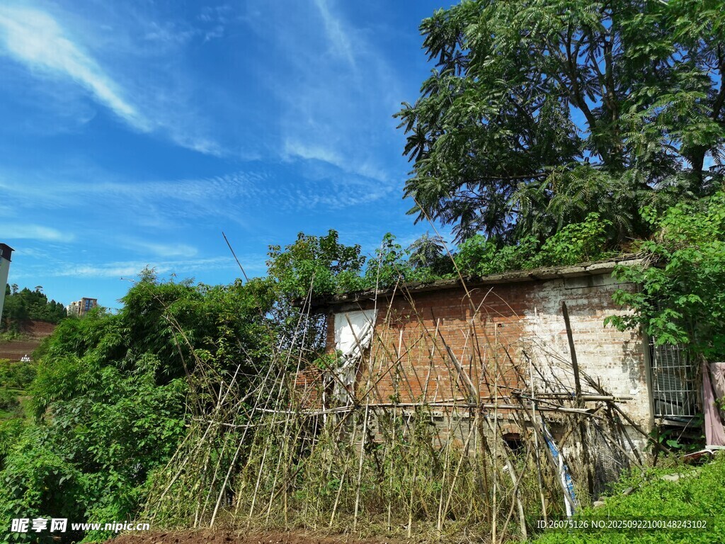 乡村小屋绿意环绕的静谧处