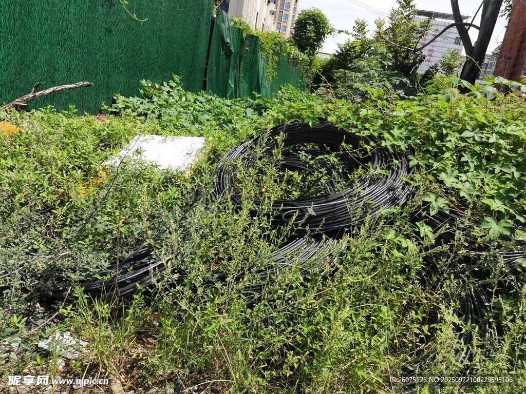 杂草丛中的废旧物品