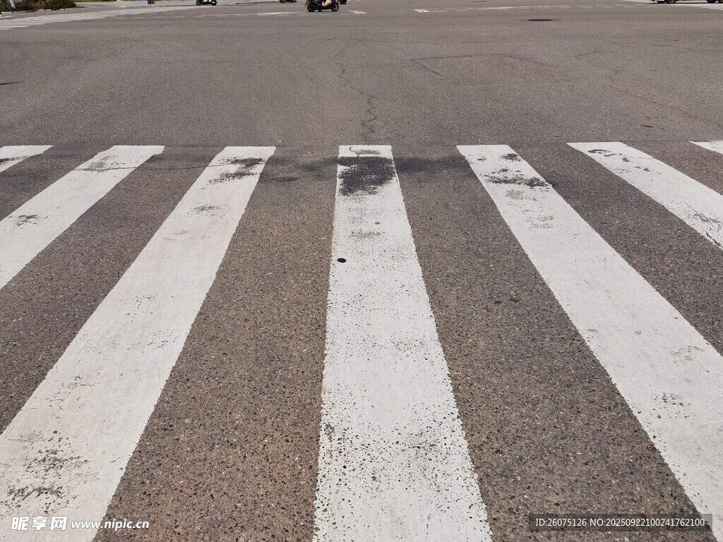 城市道路上的白色斑马线
