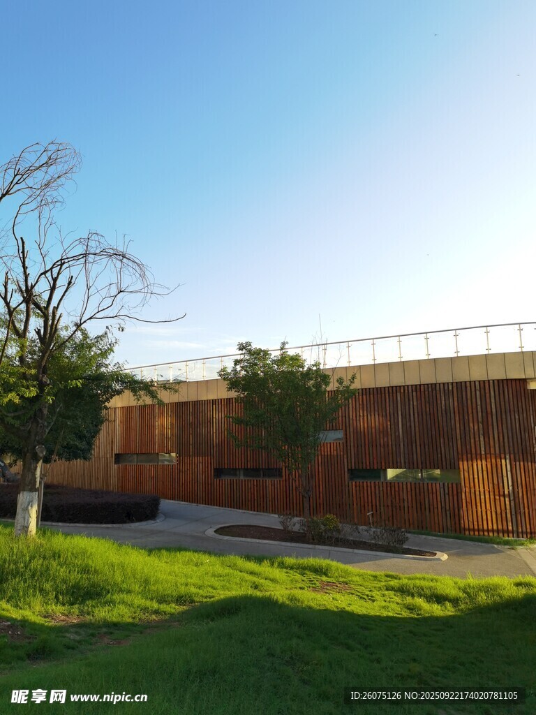 户外建筑旁的绿地与树木