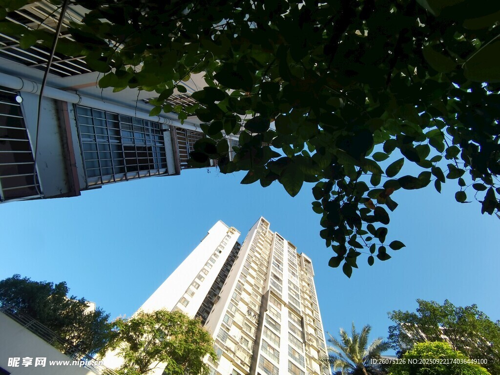 城市高楼与繁茂绿树景观