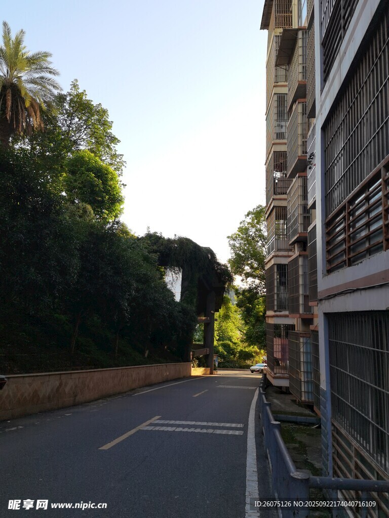 街道旁的建筑与绿植景观