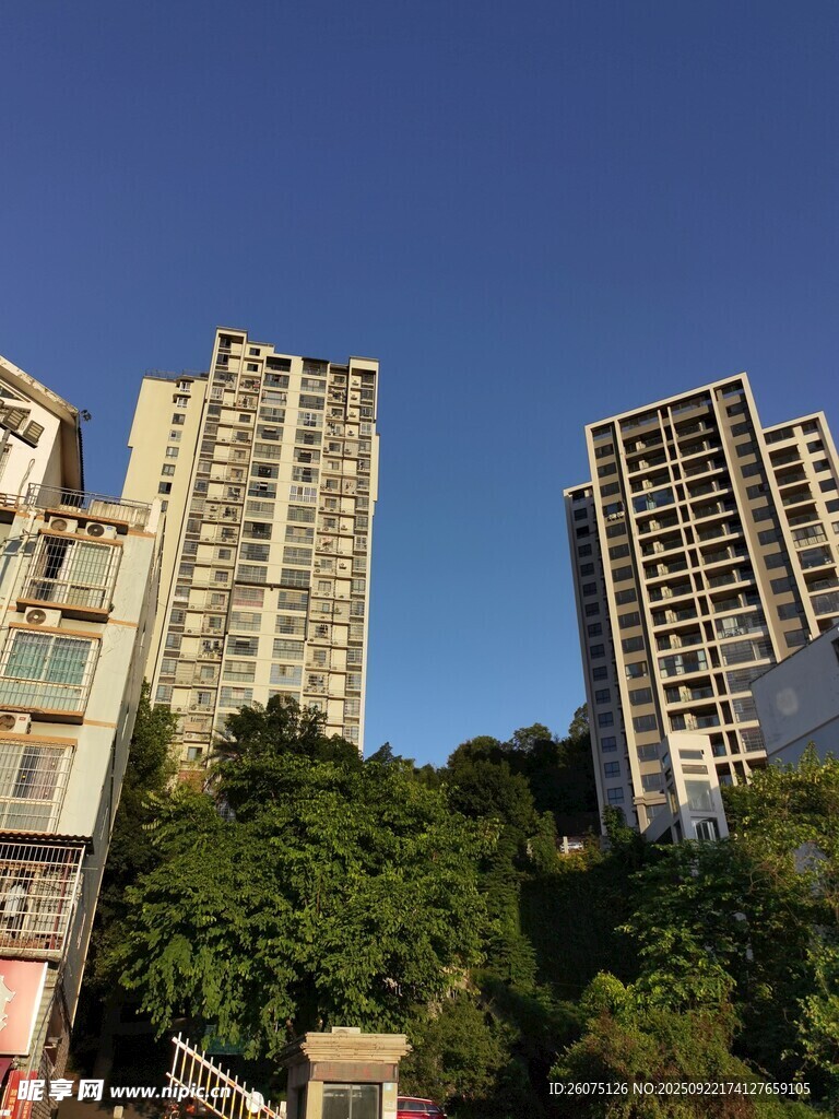 城市高楼与葱郁绿树景观