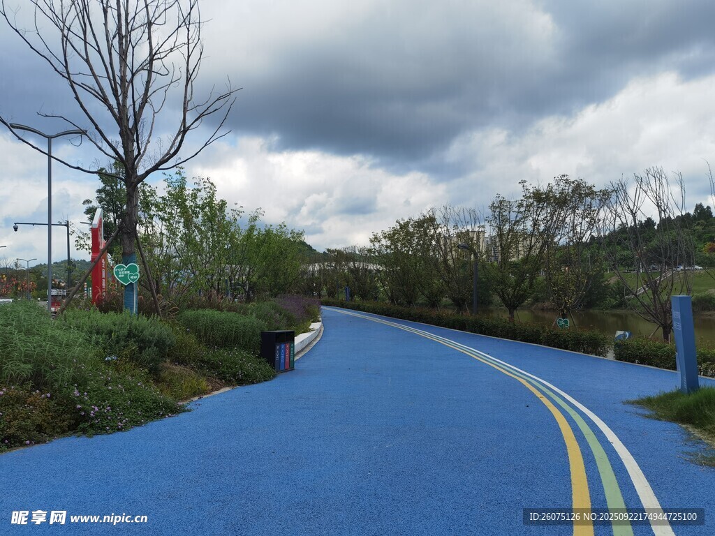 蓝色公路旁的自然风景