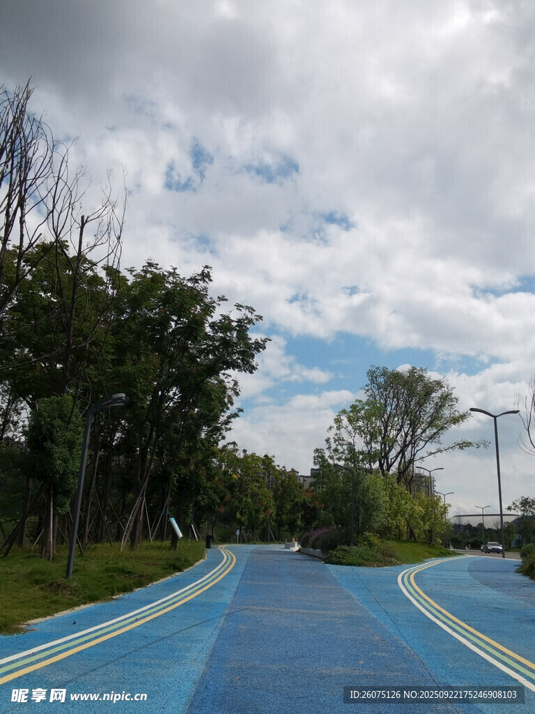 蓝色道路旁的绿树与天空