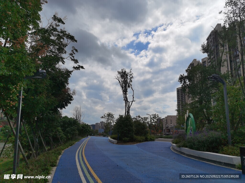 蓝色步道旁的绿树与天空