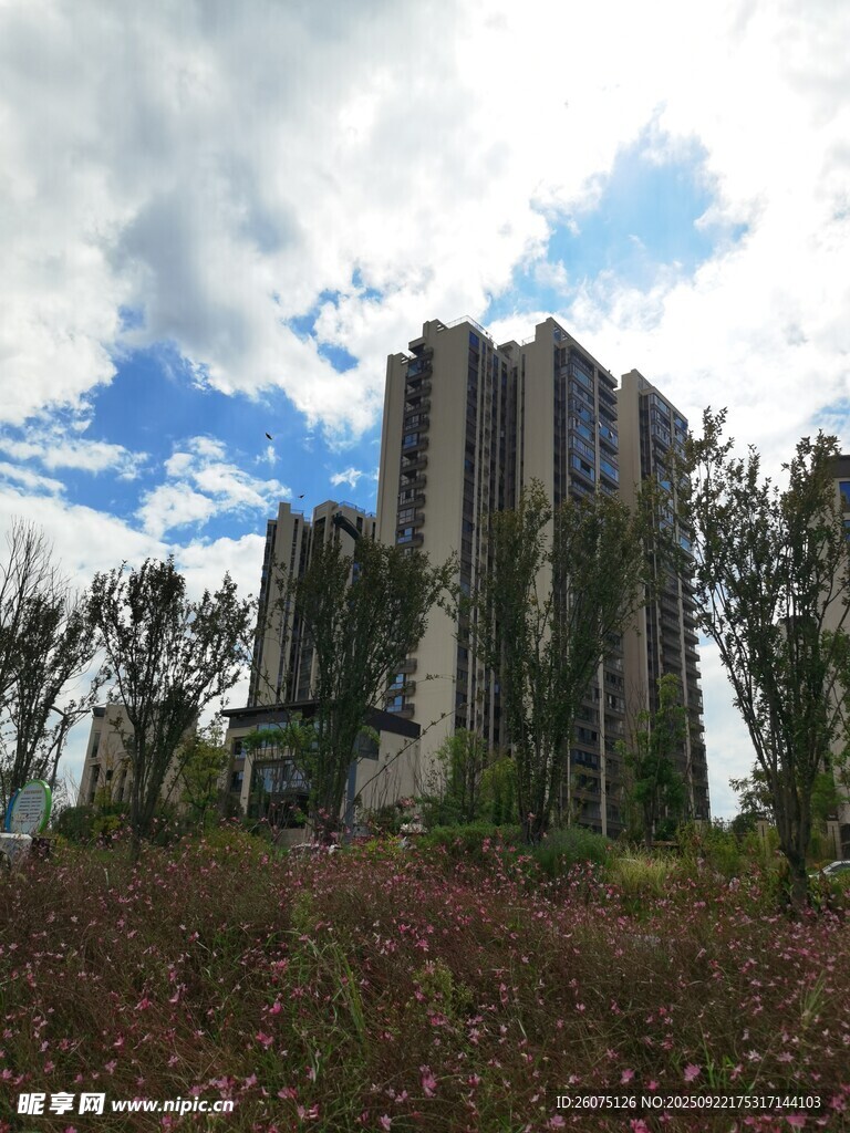 废弃高楼被绿植覆盖