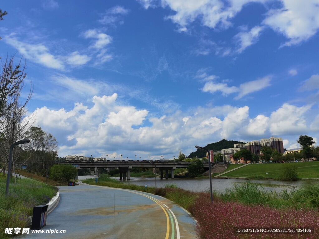 乡村公路旁的开阔风景