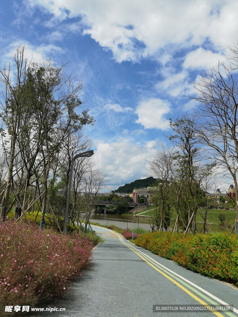 乡村公路边的自然风光