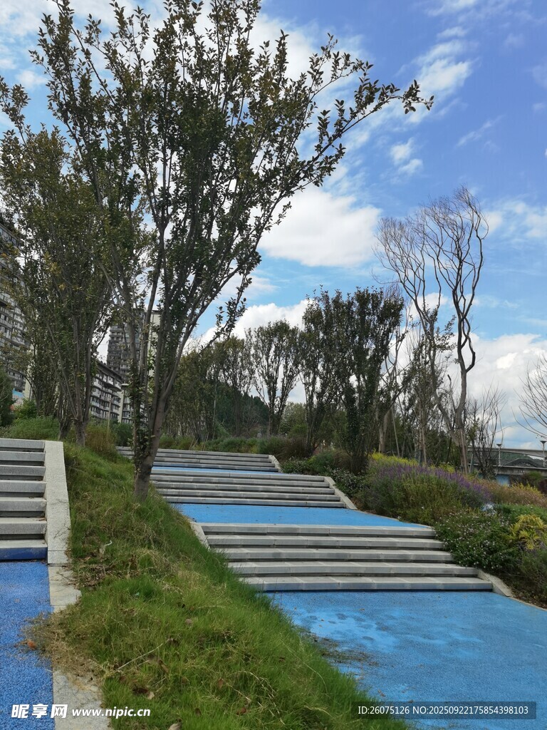 户外蓝色步道与绿植景观