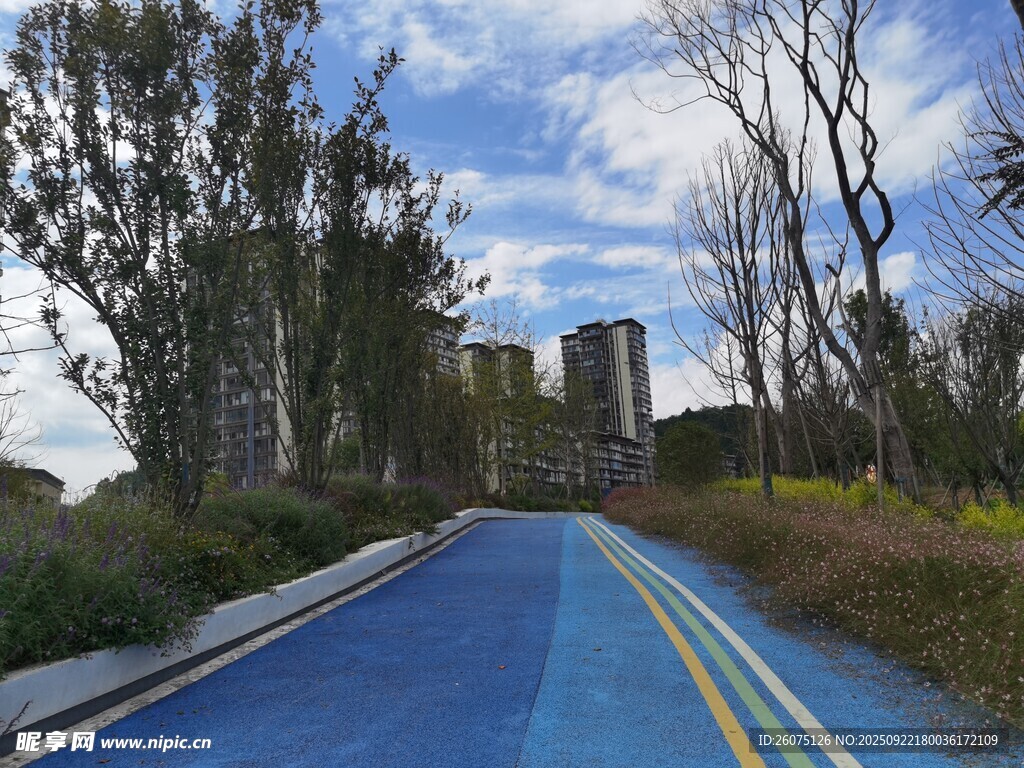蓝色公路旁的自然景致