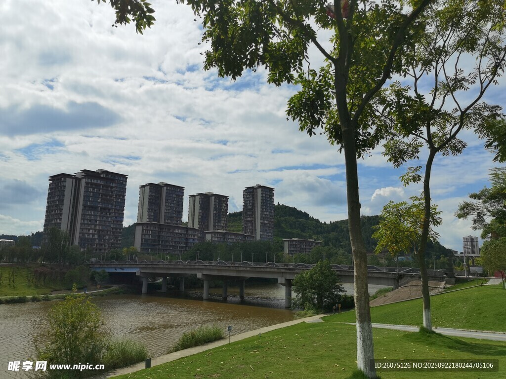 河畔城市风光与绿树景致