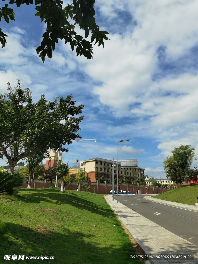 城市道路旁的清新风景