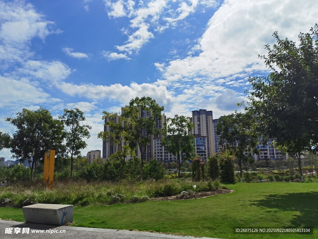 城市中的绿意景观公园