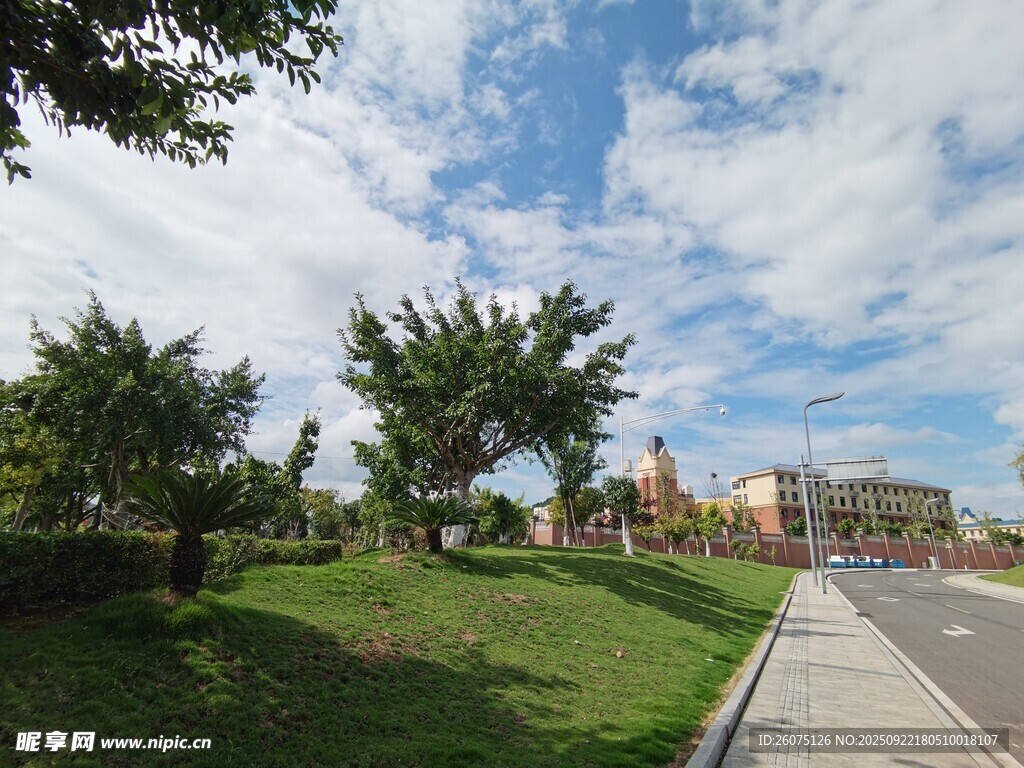 城市路边绿意盎然风景