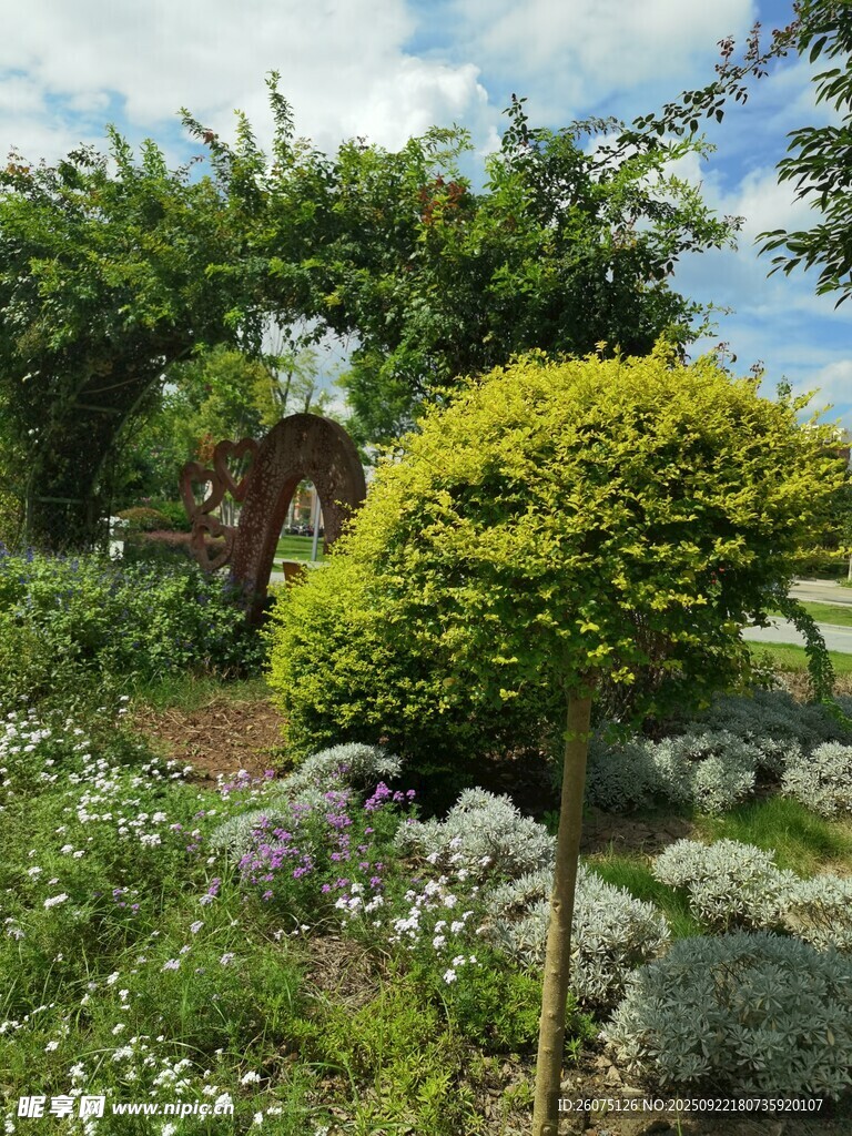庭院绿植景观生机盎然