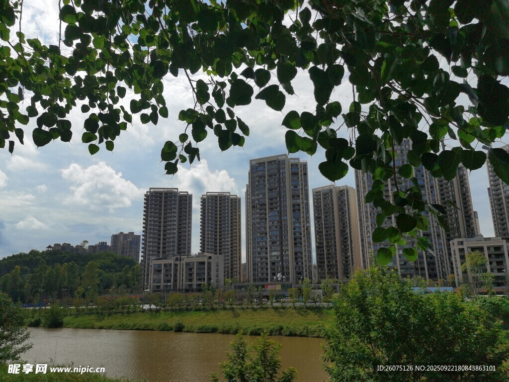 河畔绿树掩映的高楼景观