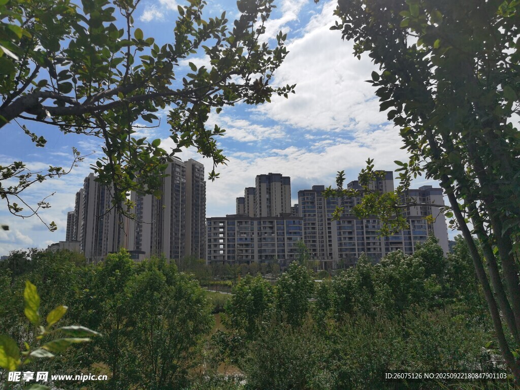 城市楼宇间的绿意景观