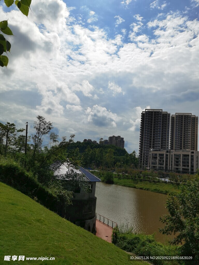 河畔绿地旁的高楼风景